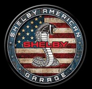 Magnet shelby